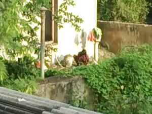 गर्म सेक्सी फिल्म फु ...