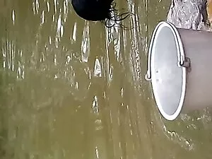 ट्रेसी एडम्स का दबदब ...