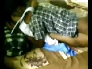 बिल्ली का बच्चा - ला ...