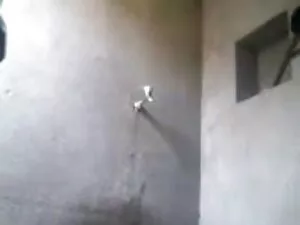जापानी सेक्सी बिकिनी ...
