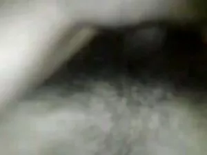 बीबीडब्ल्यू परिपक्व  ...