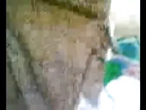 बस ब्लैक भयभीत गोरों ...