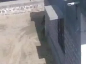 कर्ल फुल मूवी वीडियो ...