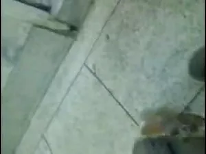 साइरेन डेर सेक्सी पि ...