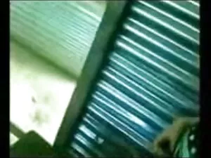 लेस-बी फ्रेंड्स (डेन ...