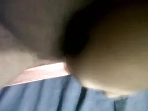 गधे में बिल्ली सेक्स ...