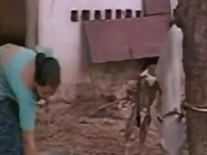 स्वाद बालों वाली योन ...