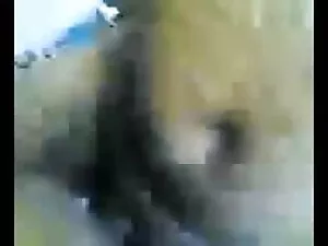 बीबीडब्ल्यू स्कट गर् ...
