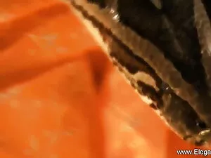 वह अपने सेक्सी फिल्म ...