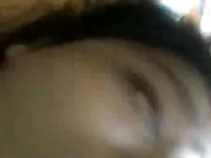 बिल्ली का बच्चा 3 रा ...