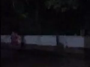 विशाल तैसा एशियाई हि ...